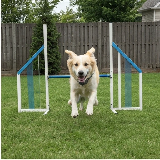 Herding dog in action